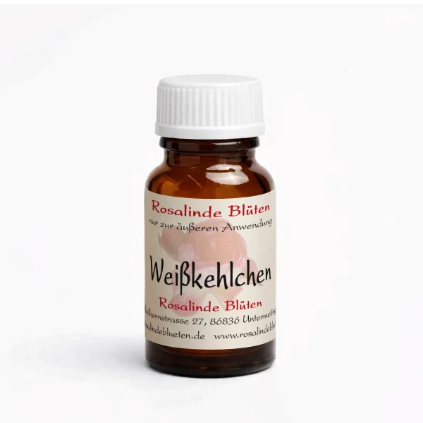 Weißkehlchen