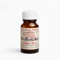 Weißkehlchen